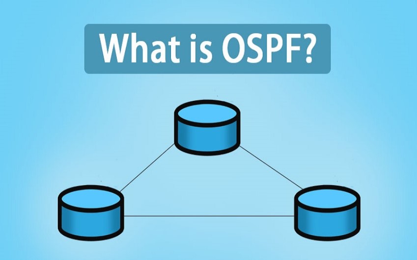 معرفی پروتکلOSPF | رایانه کمک